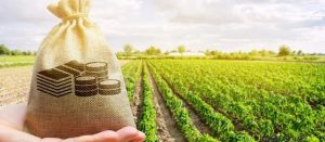 Reforma tributária pode gerar aumentos gigantescos em cobranças ao agronegócio