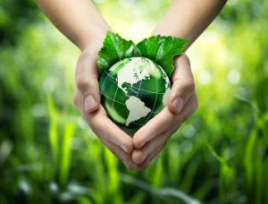 Senar oferece cursos na área de educação agroambiental