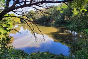 Reforma em parque vai intensificar cuidados com o meio ambiente no PR