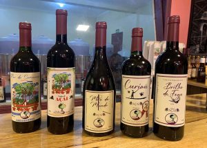 Bebida feita de açaí tem propriedades parecidas com às do vinho tinto