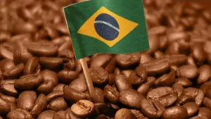 Cafés do Brasil tem valor bruto estimado em R$ 50 bilhões