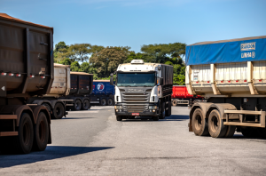 Recorde: Porto de Paranaguá recebe quase 2,5 mil caminhões de grãos e farelo em 24 horas