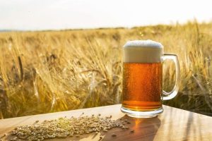 Cerveja brasileira: país recebeu US$ 131 milhões com exportação da bebida