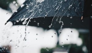 Prepare o guarda-chuva! Semana será molhada