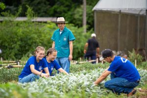 Aprovada a lei que transforma colégios agrícolas do Paraná em cooperativas-escola