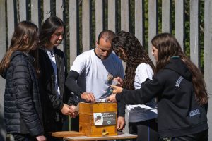 Alunos de colégio agrícola aprendem sobre abelhas nativas sem ferrão no PR