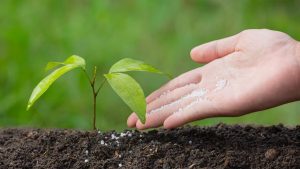 Índice de poder de compra de fertilizantes melhora 12% em junho
