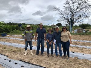 Agricultores familiares recebem capacitação para melhorar produção de hortaliças