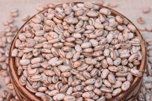 Nova cultivar de feijão carioca será lançada em dia de campo