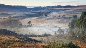 E não é que geou? Sul do país tem registro de temperaturas negativas