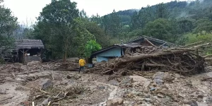 Galinheiros ficam destruídos após forte chuva em Santa Catarina
