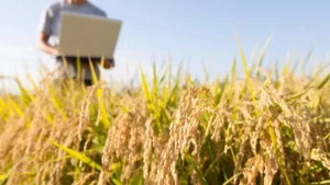 CNA cria comissão nacional de novas lideranças do agro