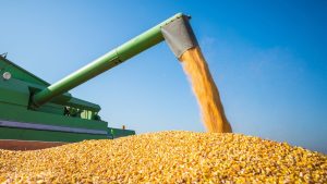 Condições climáticas impactam diretamente principais regiões produtoras de grãos
