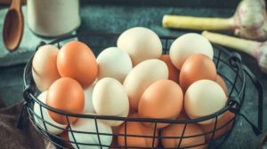 Diferença entre preços de ovos brancos e vermelhos diminui em junho