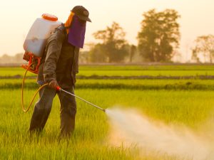 Identificação de fraude em pesticidas é tema de evento