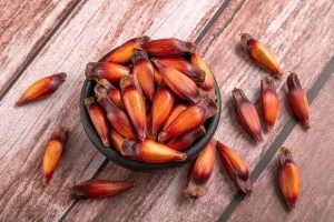 Pinhão: conheça os benefícios desse alimento para a saúde