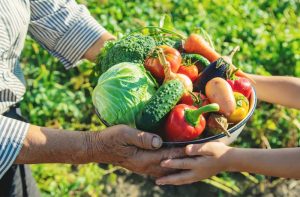 Chamada pública prevê compra de alimentos da agricultura familiar