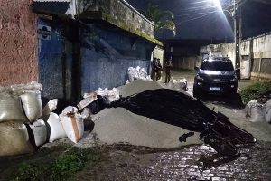 Polícia Militar apreende 10 toneladas de fertilizantes furtados em Paranaguá
