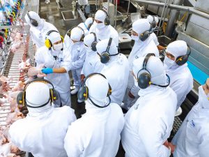 O agro que dá show! 11 cooperativas paranaenses estão entre as maiores do mundo
