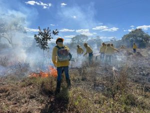 Mais de dois mil produtores rurais buscaram capacitação de combate ao fogo no 1º semestre