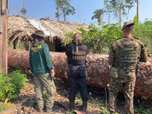 Quadrilha gera dano ambiental milionário com desmatamento ilegal gigantesco