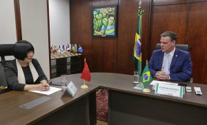 Brasil anuncia certificação do algodão para autoridades da China