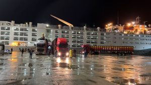 Brasil embarca 21 mil cabeças de gado para Turquia