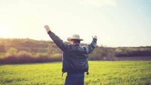 Novas oportunidades: Singapura vai comprar mais produtos do agro brasileiro