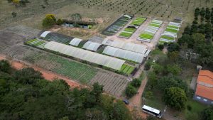 Agricultura familiar no MT? Sim, é possível e tem dado muito certo
