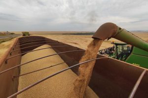 Déficit da armazenagem é o fantasma da vez: Brasil produz com excelência, mas falta infraestrutura