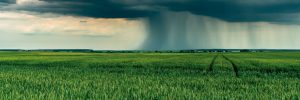 El Niño deve ganhar intensidade e trazer chuva nos próximos meses, avalia agrometeorologista
