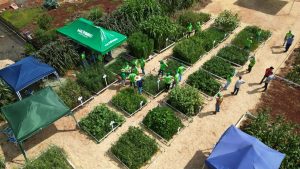 Agro que integra e fortalece: vem aí a 5ª edição do Dia de Campo da Uniguaçu