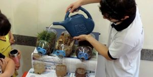 Projeto cidades sustentáveis aborda o tema educação em solos para crianças e jovens