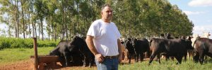 Conheça a história do agricultor paranaense que revolucionou produção de soja