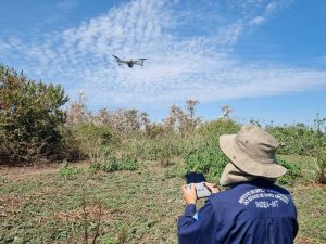 Drones se tornam aliados na vigilância contra gripe aviária