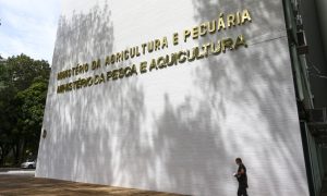 Megaoperação: Empresas foram suspensas e 152 toneladas de agrotóxicos ilegais apreendidas