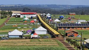 Trigo é a “menina dos olhos” do Show Rural de Inverno