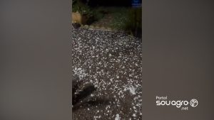 Tempestade de granizo assusta moradores da região Oeste do PR