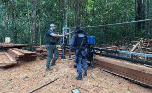 Flagrantes de desmatamento ilegal resultam em multas milionárias
