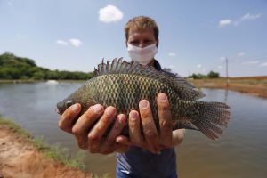 Inverno diminui a atividade metabólica dos peixes e estação requer manejo específico