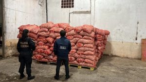 Balanço: mais de 42 mil dólares em alimentos foram apreendidos na fronteira; produtos passam pelo crivo do Mapa