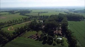 Estratégia na propriedade ajuda pecuaristas a ter mais produtividade e a reduzir custos