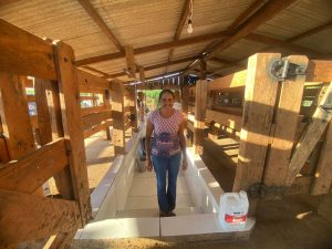 Produtora que tirava manualmente  mais de 100 litros de leite por dia ganha ordenha mecânica