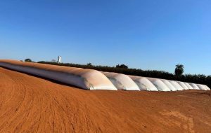 Com déficit de armazenagem para safra, venda de silo-bolsa bate recorde