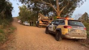 Agricultor morre ao ser atingido por árvore no Paraná