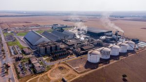 Produção de biomassa deve crescer para mover a produção industrial do MT