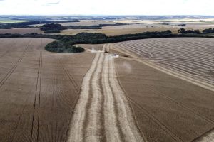 Riqueza do agro: mais cidades do PR superam R$ 1 bilhão em valor bruto de produção