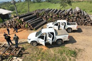 Operação no Paraná resulta em mais de R$ 13 milhões em multas