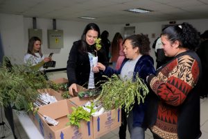 Floresce Paraná: IAT distribui 5 mil mudas para incentivar voluntariado