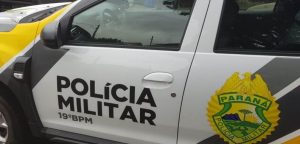Crime animal: vizinho “furta” gato e abandona bichano em área rural no Paraná